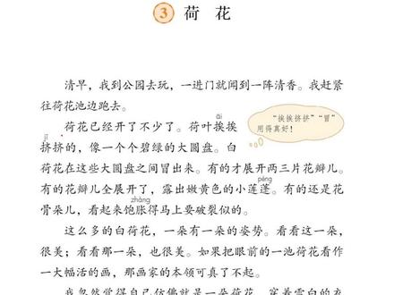 #三年级语文下册 第一单元第三课《荷花》必背内容,提前背诵吧~#背诵课文 #荷花 #萌知计划