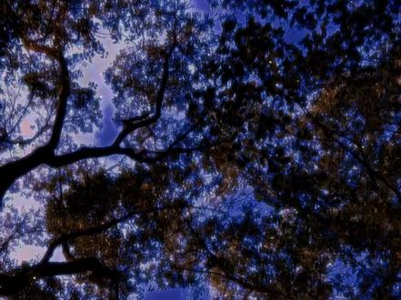 外交部例行记者发布会上,有媒体注意到她微微凸起的孕肚,不由发问“您是怀孕了吗?”
她低头看了一下自己的肚子,温柔一笑“嗯,四个月了。”
热搜瞬间炸了……
她是外交部最年轻的女翻译官,俄语专业出身,家中财产千亿,是妥妥的沪城小公主,却放弃了一切,读完博后便进了外交部工作。
他是根正苗红的官家子弟,虽出身世家,却从未因此束缚,进军风投界后,成为了无人可撼动其地位的京圈大佬。
圈子里的人都知道,他是四九城里最惹不起的人物,矜贵自持,冷冽沉稳,身边从未有女人出现。
直到有天曝出,这位京圈太子爷和外交部最年轻的台柱子领证结婚了。
有网友感慨:“这种豪门联姻都没什么好下场,最后无非就是各玩各的。”
千万条评论里,她只回复了这一条:“他追我的时候,把自己所有的资产都转到了我名下,还送给了父亲三百个亿的项目。”
一句话,堵的有此类想法的网友哑口无言。
后来两人孩子出生,因为她的工作原因,宝宝只能由他带。
小的时候家中有保姆,倒是不用太操心,可到两岁的时候,小家伙突然开始调皮粘人,整天都要和自己的爸爸待在一起。
他无奈,只能把小崽子带去公司,甚至和高层开会的时候,小家伙就在他旁边正大光明的吃零食。
这天,父子俩排排坐在听下面的人汇报工作情况,他的手机突然响起。
看到是妈妈打来的电话,小家伙一激动开了免提。
下一秒,所有的人都听到他们的外交官夫人笑里藏刀的问:“我的护肤品是不是你们两个打碎的?”
父子俩对视一眼后,小家伙连忙挂断电话。
可众人还是听到了夫人的那句:“正好家里准备了一大一小两个搓衣板,你俩一人一个,回来给我跪!”