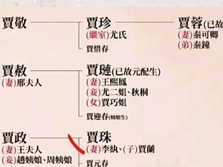 《红楼梦》宁,荣两家家谱!