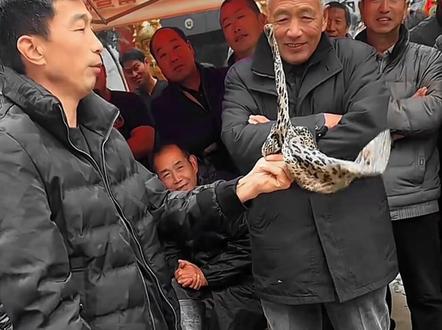 揭秘村头丝巾站立魔术原理 #魔术