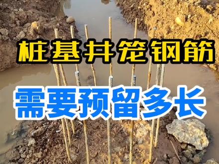 桩基井笼钢筋预留多长,参照规范要求,以设计图纸为标准! #桩基 #承台 #工地