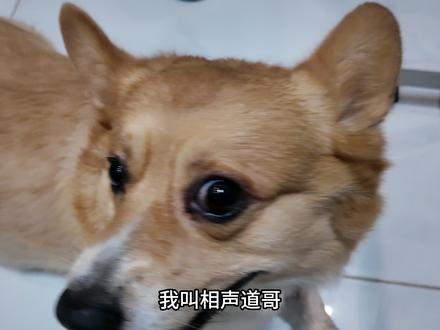 靠三角洲打单子到底能挣多少钱? 百万粉丝开一家主营FPS类型的俱乐部到底能为爱心做多少事?挑战半年时间只靠打单的收入,能否买下一辆保时捷911?每晚12点锁定@道玩电竞道神#相声道哥 #三角洲行动 #保时捷911 #打单