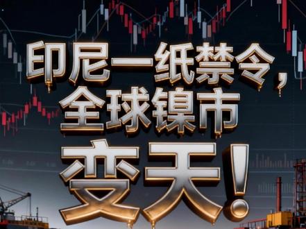 印尼一纸禁令,全球镍市变天! #财经 #经济 #硬核深度计划 #贵金属