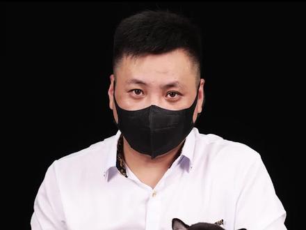 真假柴犬应该如何区分#柴犬 #豆柴 #萌宠