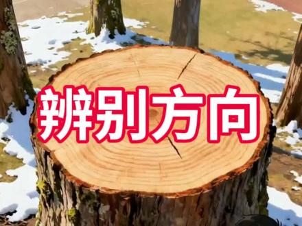 第一单元《辨别方向》#小学科学#教科版三年级下册科学#根据太阳辨别方向#利用自然物辨别方向#利用磁铁辨别方向#磁极与方向#制作小磁针#指南针