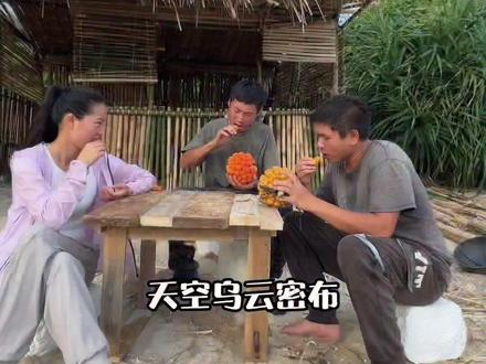 荒岛求生 每天吃这些海菠萝根本不行,意外收获歪嘴子鱼。#芒果大星探 #芒果斗地主 #荒岛生存