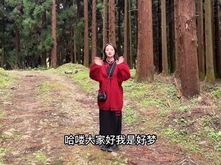 贵阳周边的一个小众森林秘境,高大的树林给人治愈的感觉,适合拍照,适合呼吸新鲜空气#贵州美好推荐官 #贵州dou是好风光 #森林氧吧 #治愈系风景 #贵阳周边游
