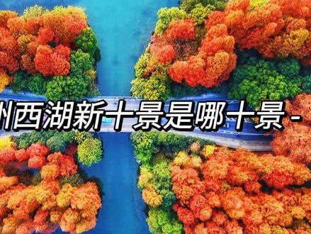 杭州西湖新十景是哪十景,新西湖十景在哪里,想要2021年牛转乾坤,一定要来杭州祈福呀 #浙江旅游 #杭州旅游