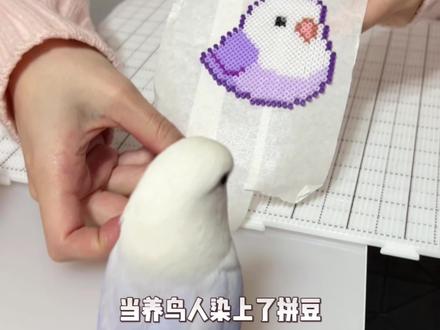 当养鸟人染上了拼豆 #宝贝年味企划 #新年快乐 #贴对联 #鹦鹉日常 #拼豆