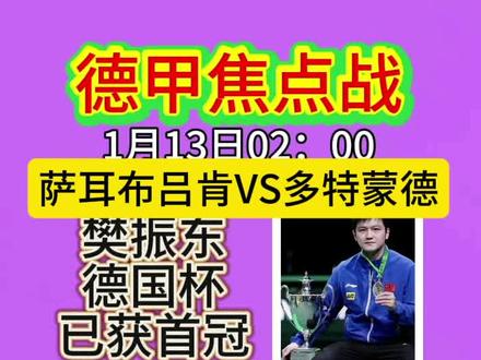 德甲第十二轮#樊振东 #焦点