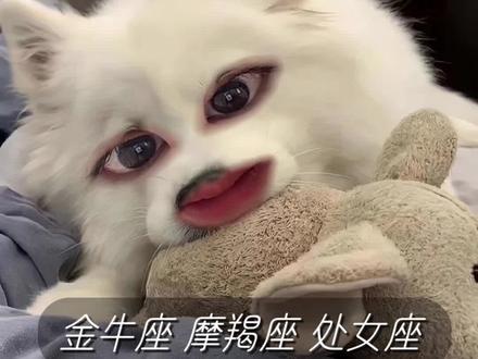 不承接土象男的情绪才是最好的引导#金牛座 #处女座 #摩羯座 #土象星座 #十二星座
