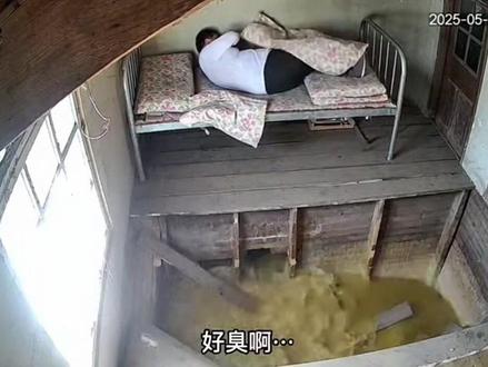 大公公又掉粪坑啦😂😂