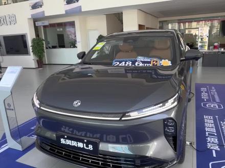 东风风神L8随车充充电#与风神同行