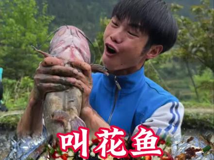 叫花鸡吃多了,今天做个叫花鱼尝尝,味道非常不错鲜嫩入味#多彩贵州真得劲#劲在苗乡侗寨#年轻人的养生搭子#农村美食#我的乡村生活