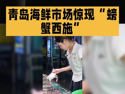 #“螃蟹西施”日卖一吨螃蟹爆火#青岛