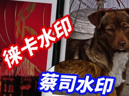 有很多人问我小米手机怎么添加徕卡水印,vivo 手机怎么添加蔡司水印,一个视频教会你。#小米13pro #vivoX90 #数码科技