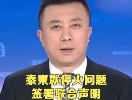 泰柬就停火问题签署联合声明 将从当地时间12月27日12时开始停火
