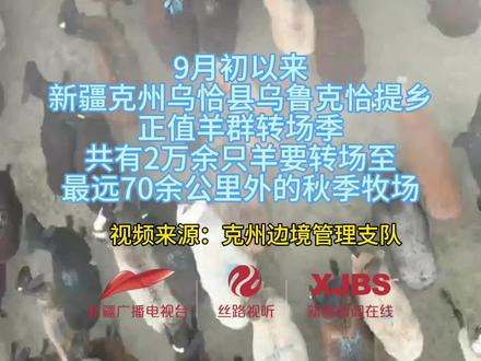 民警化身“护牧小分队”,护航羊群转场