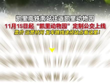 11月15日起,“凯里动物园”定制公交车来了!#凯里