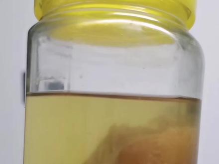 要想养好它真的很简单#醋蛾子也叫红茶菌 #纯天然无添加 #胃宝红茶菌