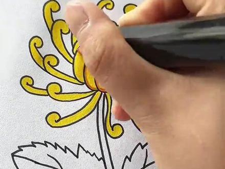 教你这样画菊花#儿童简笔画 #一起学画画 #画画