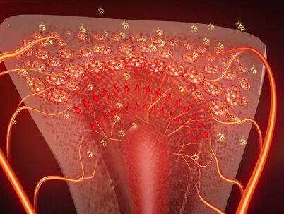 脐带血真的能救命?#政媒原创作者联盟 #生命科学 #医学科普 #2022抖音知识跨年季 #知识先锋计划