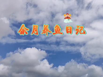 鱼缸泵不冒气泡咋回事?余月无意中发现答案,原因简单自己都笑了