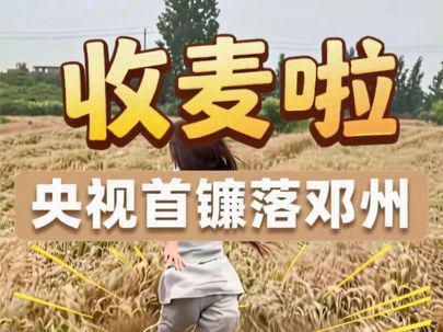央视首镰落邓州 麦收担当看河南惜粮知不易 沃土守安康🌾 #收麦 #中原粮仓 #农业#河南dou知道
