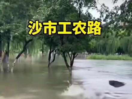 大雨在继续 5月17日至18日 湖北荆州遭遇极端特大暴雨 5月17日至18日,湖北荆州遭遇极端特大暴雨,局地24小时降水量突破1953年建站以来历史极值 荆州国家站最大小时雨强71.7毫米。荆州市启动防汛三级应急响应,中心城区实行停工、停产、停业、停运、停课等“五停”措施,部分列车临时停运。
部分影像来自于网络 如有版权问题 请联系本人