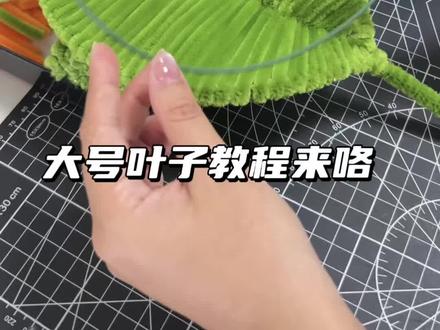 扭扭棒大号叶子教程视频分享
姐妹们可以学习啦
#扭扭棒的100种玩法 #手工diy #教程来了 #树叶手工 #抖爸爸宠我