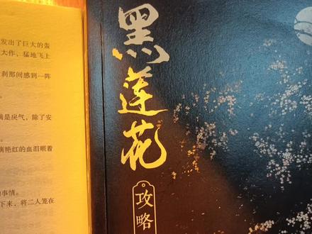 番外虽甜 但是这个结尾片段还是让我很难受。#黑莲花攻略手册