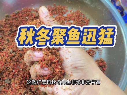 秋冬钓鲫鱼非常牛b、聚鱼非常迅猛的打窝量!用它打窝让你从此钓鱼扬眉吐气!#鲫鱼窝料 #鲫鱼窝料配方 #钓鱼窝料配方 #万物皆可挂闲鱼 #苏北野钓王