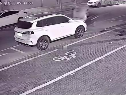 猫咪吃鱼为什么不怕鱼刺? #拒绝废话 #冷知识 #dou是知识点