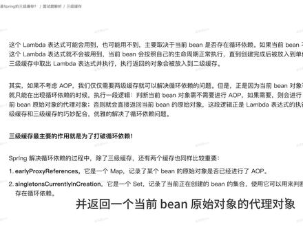 【Java面试】什么是Spring的三级缓存? #程序员 #干货分享