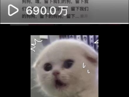 评论区真是一山还有一山高啊😆
笑💩个人了,真的崩不住啊😂 狗我留下了
谁也别想拿走,其它的你全拿走😂#胡彦斌你要的全拿走