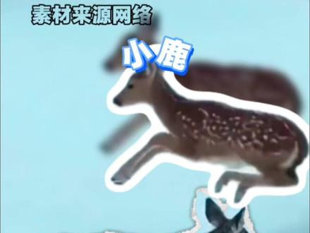 鹿妈妈:耶?我的孩子呢 #小鹿 #下雪天 #可爱