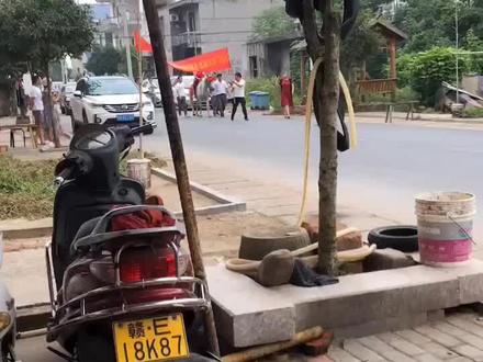 5位清华北大状元齐聚洋里叶家,是叶姓家族的骄傲