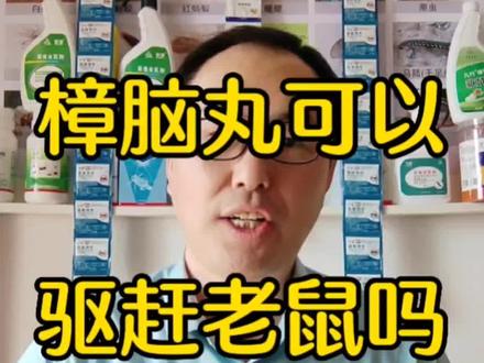 樟脑丸可以驱赶老鼠吗#粘鼠板 #粘鼠贴 #樟脑丸 #粘鼠胶