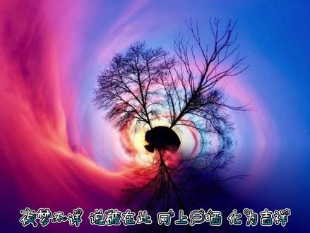 夜梦不详,说破在此,网上一晒,化为吉祥!
梦的解析#解梦
猫🐱#猫
动物系列#萌宠