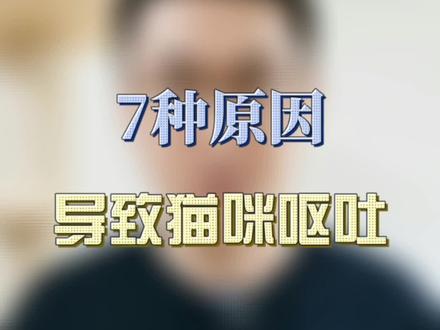 可能造成猫咪呕吐的7个原因,平时一定要多注意#萌宠 #养猫养猫