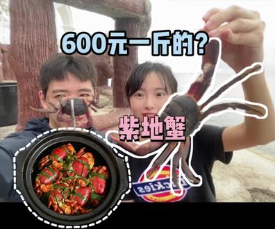 一百块钱一只的灵芝蟹(紫地蟹)? 来看看菲律宾人椰蓉螃蟹的做法~#美食vlog