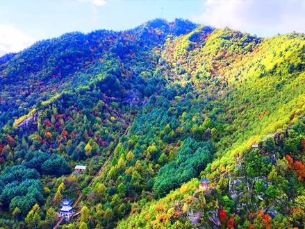 #黑龙江伊春 带你穿越千年前生活在小兴安岭一支神奇的部落 海东青-铁公鸡大战磨盘山之金牌问世#旅游#灵感创作