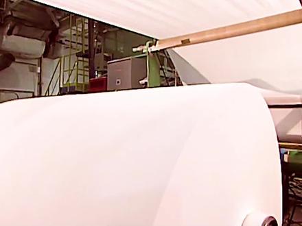 两分钟带你了解卫生纸生产的全过程#卫生纸