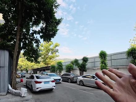 都说十代半雅阁才是雅阁的真正经典巅峰 第一视角体验十代半雅阁最低配到店升级网红天花板白色内饰
动态光影满配氛围灯 把内饰的豪华感氛围感全部拉满
#十代半雅阁 #十代雅阁#本田雅阁#小白改雅阁 #雅阁改装