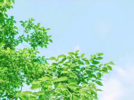 猫系盛世美颜清冷学霸受X酷哥哥禁欲超A科研总裁攻
林水程长得好,眼尾一粒红泪痣特别勾人。傅落银见他第一面,名字都没问就把人带回了家。别人都说傅二少一见钟情,只有傅落银知道,眼前人不需要名字,注定只能作为一个替身留在他身边。后来他慢慢想起,林水程也一直没有问他的名字。
【知道真相后攻眼泪掉下来】
路人1:你确定这个科研大牛顶级学霸神仙颜值上得厅堂下得厨房的小哥哥是……替身吗?建议看眼科。
发小2:什么?他是替身?太好了你不上心我就上了!嫂子求你康康我!!!
导师3:就你,想泡我的学生?呵呵呵呵呵
亲爹4:乖崽,咱们配不上人家,放过人家吧
从小人赢·富可敌国·冷酷精英攻:……
#全世界都想撬我墙角# #所有人都劝我们分手#
#可恶,他居然不记得我的生日# #他竟然还打错我名字# #他不爱我!#纯爱小说