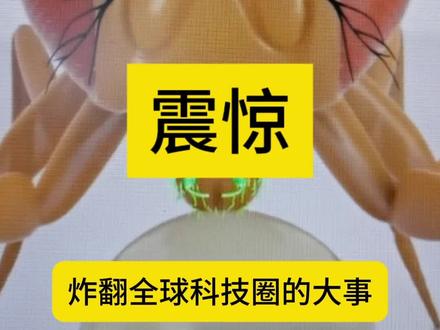 科学家用ai复刻果蝇大脑
马斯克都惊叹的数字生命#ai#马斯克#脑机接口#永生#数字永生