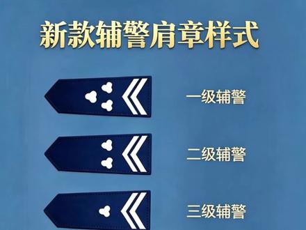 辅警最新版肩章 #辅警 #辅警肩章 #辅警等级