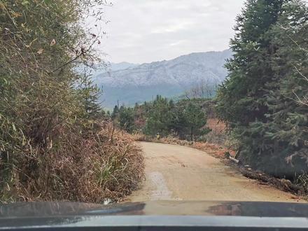 冬至你们吃什么?都说北方人冬至统一吃饺子,但是南方地区就没有统一的美食了,有吃汤圆的、有吃羊肉喝羊汤的,也有吃豆腐喝鸡汤的,大别山区的霍山农村,冬至这一天我们更习惯吃——南瓜糯米饭!#冬至 #冬至习俗 #冬至美食 #南瓜糯米饭 #冬至传统习俗