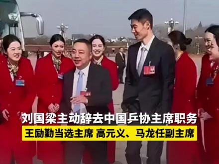 4月23日,刘国梁主动辞任, 王励勤当选中国乒协主席,马龙任副主席#马龙 #国乒 #王励勤