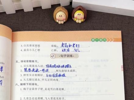 #四年级下册#四合一同步专项来了,都是四年级下册的常考点,每天练一练,打好一下语数基础#同步训练#教辅推荐zi